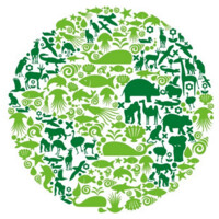 Animal Rights Advocates logo - Similar company to The Animal Welfare App By Oerca