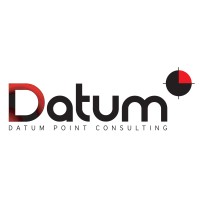 Datum Point Consulting logo - Similar company to Morning Data