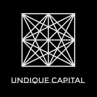 Undique Capital logo - Similar company to Nonchalant Capital