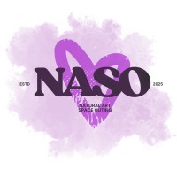 Naso Planner logo - Similar company to 4 Mind