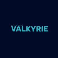 Veltwoolf Valkyrie logo - Similar company to Vizio B
