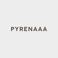 PYRENAAA Visualization logo - Similar company to Alicyart Studio