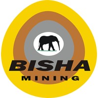 Bisha Mining Share Company logo - Similar company to Mining Partners (Pty) Ltd