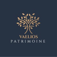 Vaelios Patrimoine logo - Similar company to Groupe Allure Auto