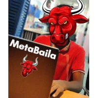 MetaBaila logo - Similar company to Ganeshaintelliware