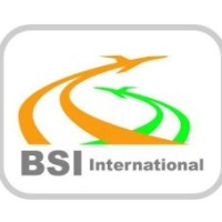 BSI EXPRESS LOGISTICS logo - Similar company to Altidea
