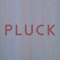 PLUCK Kitchens logo - Similar company to Pluck