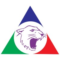 BRASPOR GRAFICA E EDITORA LTDA logo - Similar company to Vemac It Solutions