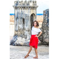 ANASTASIA CONSULTS LLC logo - Similar company to Anastasia