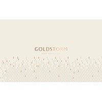 Goldstorm Asset Management logo - Similar company to Allwaze