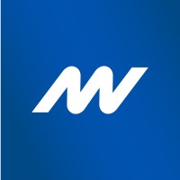Network Vision logo - Similar company to Project Sardinia
