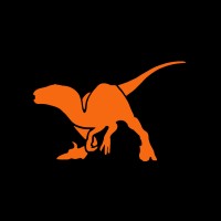 Raptors PL logo - Similar company to Agh Drone Engineering