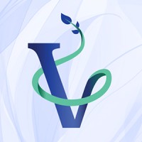 VERAE Consulting logo - Similar company to Larostale
