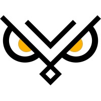 Bold Hoots logo - Similar company to Innovative Smartmandu