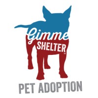 Gimme Shelter Pet Adoption