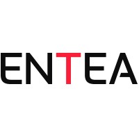 ENTEA AB logo - Similar company to Effso