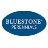 Bluestone Perennials
