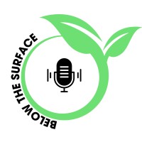 Below the Surface - Podcast logo - Similar company to Echidna Cams