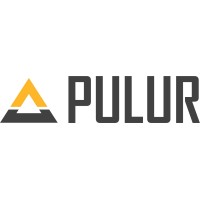 Pulur Teknoloji logo - Similar company to Pineasoft