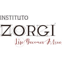 Instituto Zorgi logo - Similar company to Praticamente | Centro De Estudos