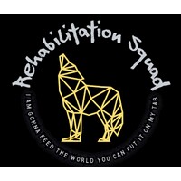 Rehabilitation Squad logo - Similar company to Reentry Summit Pbc