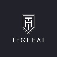 Teqheal logo - Similar company to Digital Networking