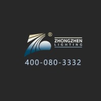 Zhongshan Zhongzhen Lighting Co., Ltd. logo - Similar company to Lumibrasil Iluminação Decorativa