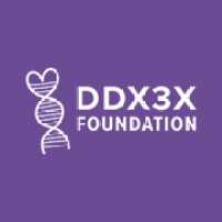 The DDX3X Foundation logo - Similar company to Over & Over Style