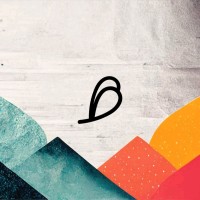 Brandship logo - Similar company to Brandchip