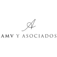 Bufete Legal AMV y Asociados S.C. logo - Similar company to Punto Tres | Intellectual Property