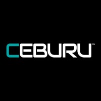 Ceburu, Inc. logo - Similar company to Acordis Technology & Solutions