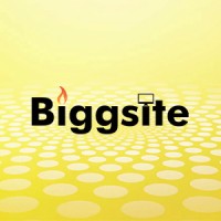 Biggsite logo - Similar company to Arixle Solution Private Limited