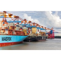 BSI Global Exim Import Export logo - Similar company to Camstore India