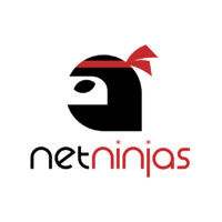 Net Ninjas logo - Similar company to Net Ninjas