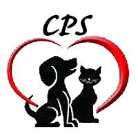 Chilhowee Psychological Services