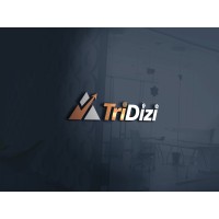 TriDizi logo - Similar company to Hsgc Technologies