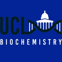 UCL Biochemistry Society logo - Similar company to Imperial College Biochemistry Society
