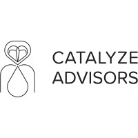 Catalyze Advisors logo - Similar company to Fh Technology And Consulting
