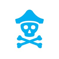 The Blue Pirate logo - Similar company to Beyondit Gmbh