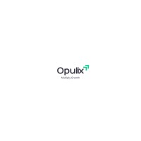 Opulix Advisory Services logo - Similar company to Time Lenz