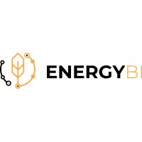 Energy Business Intelligence ltd. logo - Similar company to Clean Tech Strategy Advisors