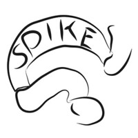 Spike Art Magazine logo - Similar company to Split Peas