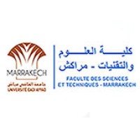 FSTG MarraKech logo - Similar company to Amfaspark