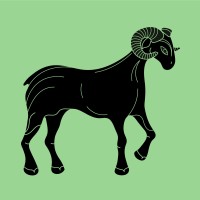 WISE RAM SA logo - Similar company to Transparent Future