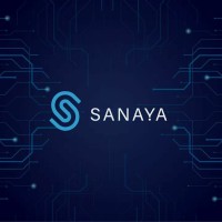 SanayaTechs for IT Solutions logo - Similar company to It Service Guru