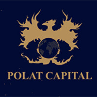 POLAT CAPITAL GROUP logo - Similar company to Eyg Grup