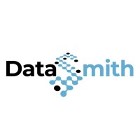 DataSmith logo - Similar company to North Light It