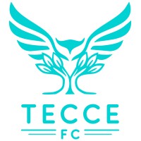 TECCE FC logo - Similar company to Five Star Executives