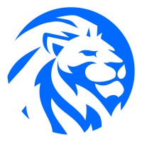 Besa Solutions logo - Similar company to Bisha
