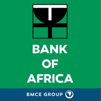 BANK OF AFRICA TANZANIA LIMITED logo - Similar company to Nmb Bank Plc